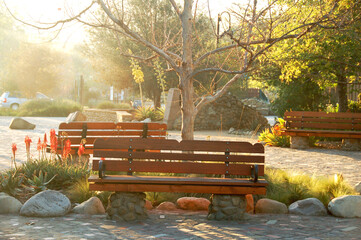 bench in the park with sunlight shining through in old-town San Juan Capistrano, California