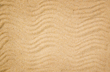 Background of homogeneous sea sand