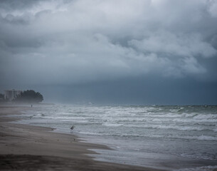 Stormy day at the beach as Hurricane Hermine approaches the Florida Gulf Coast, Longboat Key, Florida