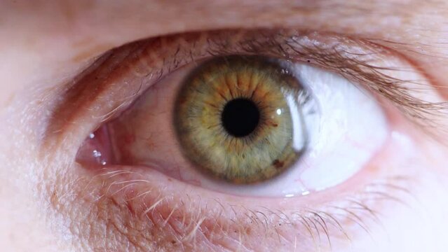 Woman, eye and macro of vision, focus and eyeball opening. Eye care, eyesight health and zoom or closeup of female iris, cornea or retina in optometry clinic for optical or medical test for wellness.
