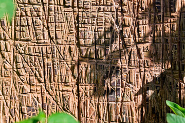 Scratched wooden surface in wasteland