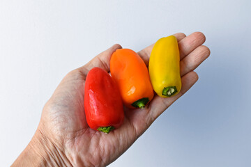 Mini bell peppers on hand in a bright background