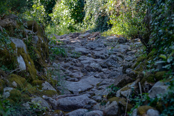Stone path. Close-up.