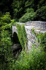 Stone Sackett Bridge at Cornell University's Beebe Lake in Ithaca, New York covered with ivy