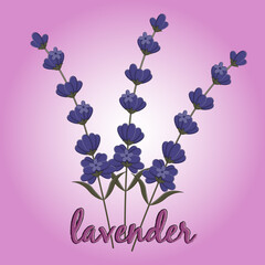 lavender birthday card with flowers