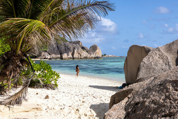 africa, beach, beautiful, blue, coast, coastline, dream, exotic, granite, holiday, idyllic, island, jungle, la, landscape, leaf, nature, ocean, outdoor, palm, paradise, relax, relaxation, rock, sand, 