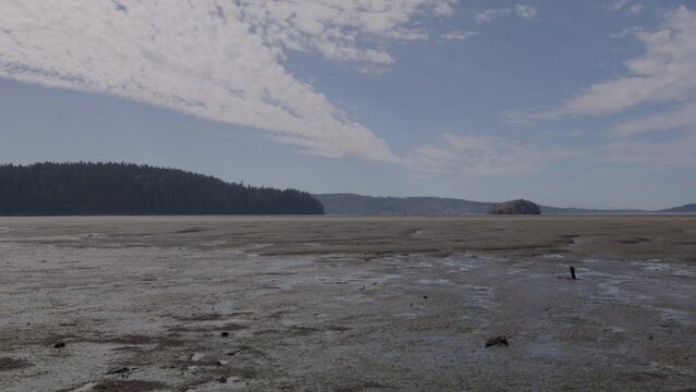 Shadows Move Across Sand Mud Flats After Tide Goes Out in La Conner Washington USA on a Sunny Day Time Lapse