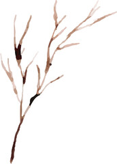 branch of a tree