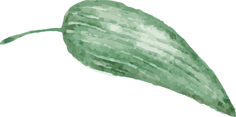 green leaf isolated