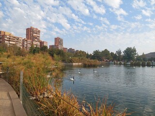 Diversidad de paisajes