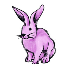 The pink rabbit  png image