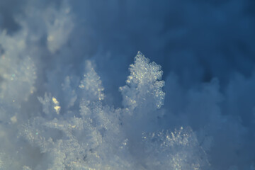 Fototapeta na wymiar chrystals of ice, beautiful detail in backlight