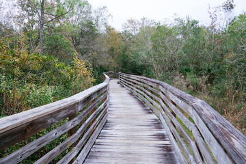 Obraz premium Beautiful wooden boardwalk in autumn 