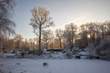 Winter setting over Mölleröds kungsruin, in Hässleholm, Scania, Sweden.