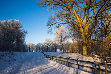 Winter road with fince and sun hitting the trees.