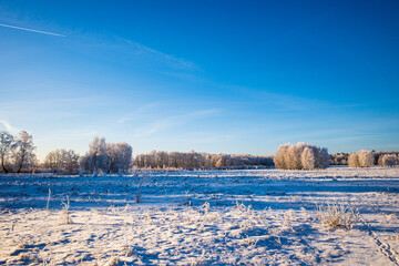 Large winter meadow with blue sky.