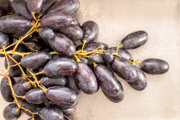 One bunch of juicy organic black grapes on a metal tray , close-up, top view.