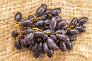 One bunch of juicy organic black grapes on burlap, close-up, top view.