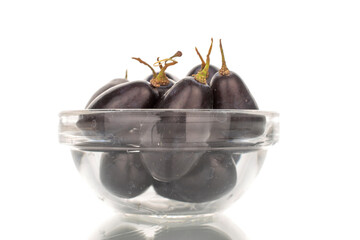 Several berries of black grapes in a glass bowl, close-up, isolated on white.