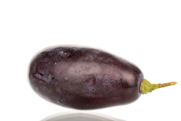 One black grape berry, close-up, isolated on white.