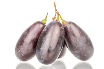 Several berries of black grapes, close-up, isolated on white.
