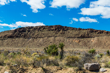 Mojave National Preserve in Winter