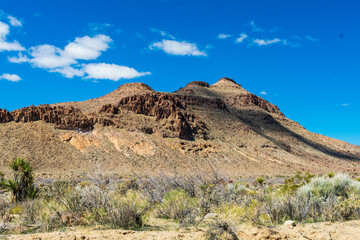 Mojave National Preserve in Winter