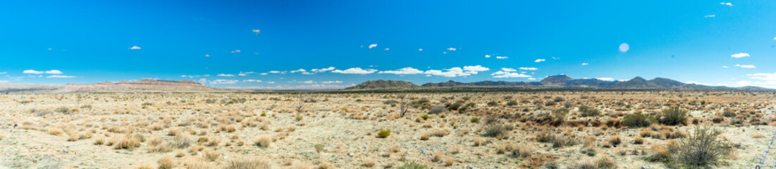 Mojave National Preserve in Winter