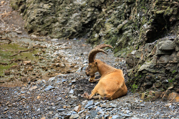 Dagestan tour. Background with selective focus and copy space