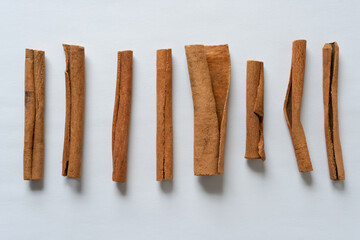 cinnamon sticks isolated on paper