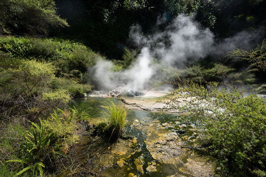 Steam rising at waimangu volcanic valley in Rotorua New Zealand