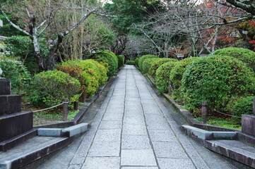 初冬、京都の小路
