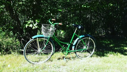 bicycle in the park