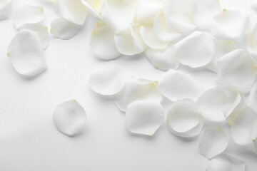 Fototapeta na wymiar Beautiful rose flower petals on white background, top view