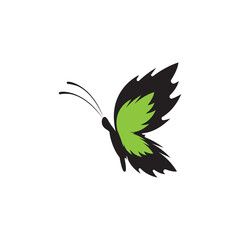 butterfly icon vector illustration design