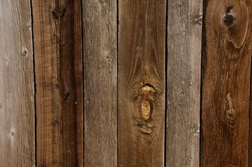 Wall of natural wood planks background and space
