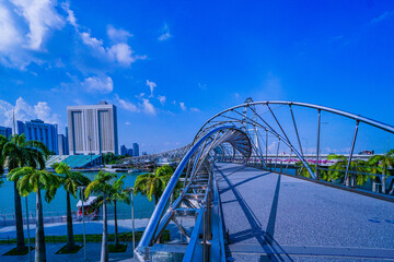 Obraz na płótnie Canvas Singapore Skyline with Bridge
