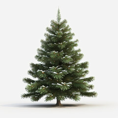 One Christmas tree covered with snow on a white background 