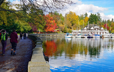Enjoying Fall colors while walking the iconic Stanley Park sea wall in Vancouver, BC, Canada.