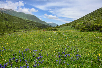 Fototapeta premium Beautiful alpine scenery on the Keskenkija Trek, Jyrgalan, Kyrgyzstan