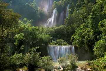 beautiful waterfall in green forest