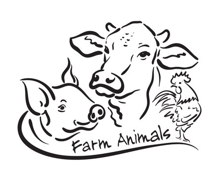 Group of animal farm label design isolated on transparent background. Cow, Pig, Chicken., Logo Animals.