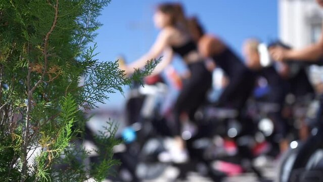 Close Up Of Group Of People Cycling On Machine Outdoor. Healthy Lifestyle, Fitness, Cardio Concept