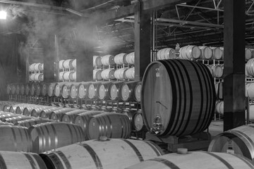 Barricas de Vinho