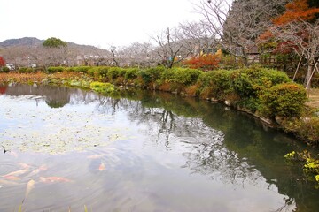 山口県下関市の東行庵