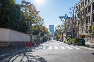 Fototapeta premium 神戸市の異人館街と超高層ビル