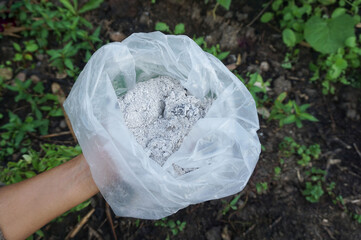Ash in a white plastic bag for use as a fertilizer for plants growing in an agricultural garden