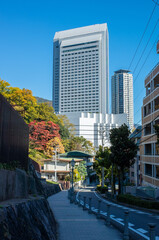 Obraz na płótnie Canvas 神戸市の異人館街と超高層ビル