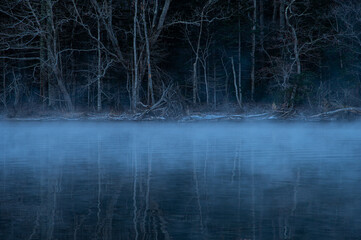 水面に靄の漂う湖畔の森。青白い雰囲気の薄明に。