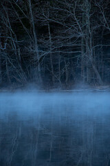 水面に靄の漂う湖畔の森。青白い雰囲気の薄明に。